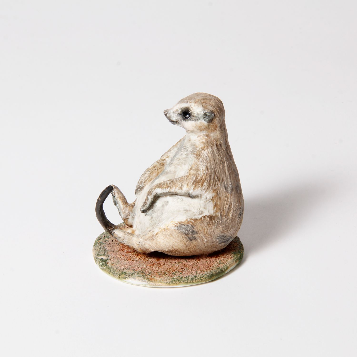 Peidi Wang: Meerkat – Assorted Product Image 5 of 6