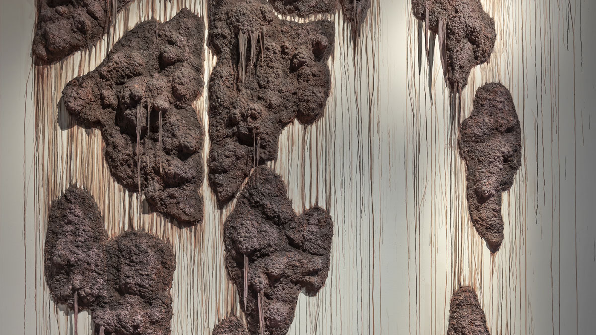 Brown clay growths on a grey wall