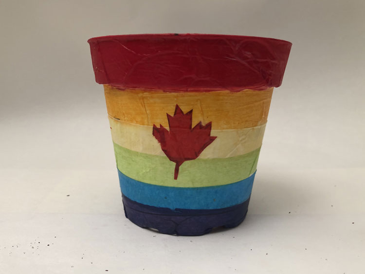 Colourful striped pot with a red maple leaf