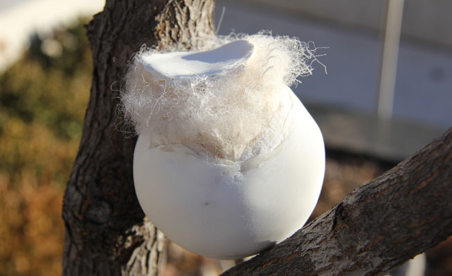 White ceramic sphere in a tree